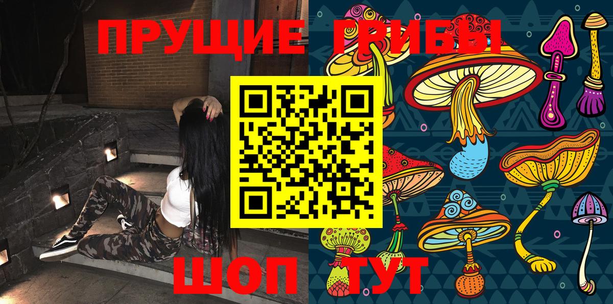 Галлюциногенные грибы Magic Shrooms  Вход с VPN  Галлюциногенные грибы Cubensis  Саранск 